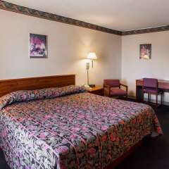 Отель Econo Lodge Effingham комната для гостей