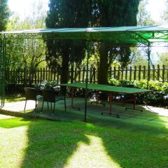 Отель Fattoria Il Milione детские мероприятия