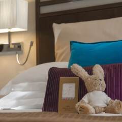 Crowne Plaza Rome-St. Peter's Hotel & Spa Рим фото 6