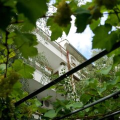 Отель Guest House Barbov Болгария, Аврен - отзывы, цены и фото номеров - забронировать отель Guest House Barbov онлайн фото 4