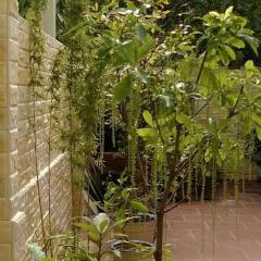 Отель Hi Hop Yen Homestay парковка