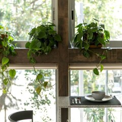 Апартаменты Comfortable Studio Near La Condesa Мехико развлечения