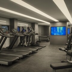 Отель Park Plaza London Waterloo Великобритания, Лондон - 2 отзыва об отеле, цены и фото номеров - забронировать отель Park Plaza London Waterloo онлайн фитнесс-зал фото 3