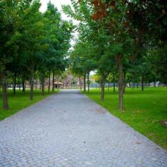 Отель Quinta de Resela