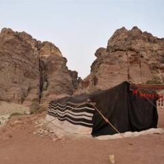 Отель The Rock Camp Иордания, Петра - отзывы, цены и фото номеров - забронировать отель The Rock Camp онлайн приотельная территория