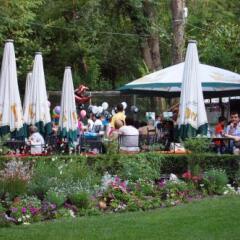Отель Restaurant Dreri Албания, Тирана - отзывы, цены и фото номеров - забронировать отель Restaurant Dreri онлайн фото 17