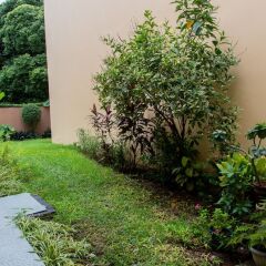Отель Comlin Bank 13 by Pro Homes Jamaica Ямайка, Кингстон - отзывы, цены и фото номеров - забронировать отель Comlin Bank 13 by Pro Homes Jamaica онлайн фото 3