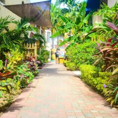 Reggae Hostel Ocho Rios фото 7