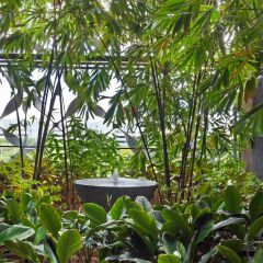 Отель Crowne Plaza Changi Airport Сингапур фото 7