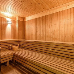 Апартаменты Melpo Antia Luxury Apartments & Suites сауна