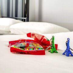 Отель Novotel Montparnasse Париж в номере