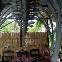 Отель Living Chilled Koh Tao - Hostel Таиланд, Остров Тау - отзывы, цены и фото номеров - забронировать отель Living Chilled Koh Tao - Hostel онлайн фото 3