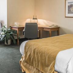 Отель Quality Inn & Suites & Conference Centre Канада, Гатино - отзывы, цены и фото номеров - забронировать отель Quality Inn & Suites & Conference Centre онлайн комната для гостей фото 4