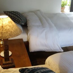 Отель Tushita Inn Непал, Катманду - отзывы, цены и фото номеров - забронировать отель Tushita Inn онлайн комната для гостей фото 2