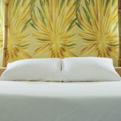 HYPOLINK Village in Kololi, Gambia from 71$, photos, reviews - zenhotels.com guestroom