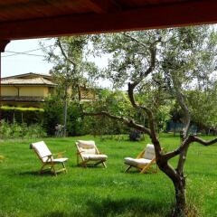 Отель B&B Gagliarda Италия, Ортона - отзывы, цены и фото номеров - забронировать отель B&B Gagliarda онлайн фото 6