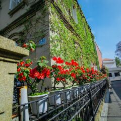 Отель Xiamen Blossom Resort Китай, Сямынь - отзывы, цены и фото номеров - забронировать отель Xiamen Blossom Resort онлайн фото 22