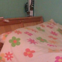 Отель Guest House Edelweiss детские мероприятия