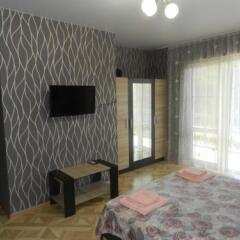 Гостиница Guest House Vasilina в Кабардинке отзывы, цены и фото номеров - забронировать гостиницу Guest House Vasilina онлайн Кабардинка комната для гостей фото 5