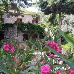Medusa House Hotel Турция, Алтинкум - отзывы, цены и фото номеров - забронировать отель Medusa House Hotel онлайн фото 11