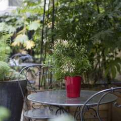 Отель HotelHome Paris 16 балкон