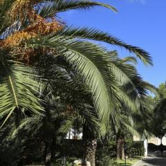 Отель In the garden B&B Лечче фото 2