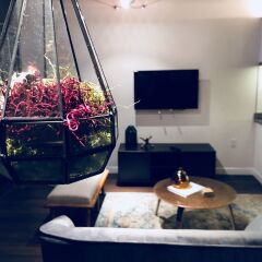 Отель New Lyfe Finest Luxury Apartment США, Лос-Анджелес - отзывы, цены и фото номеров - забронировать отель New Lyfe Finest Luxury Apartment онлайн комната для гостей