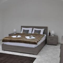 Отель Metropolis Prague Apartments Чехия, Прага - отзывы, цены и фото номеров - забронировать отель Metropolis Prague Apartments онлайн комната для гостей фото 2