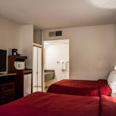 Отель Clarion Inn & Suites Clearwater комната для гостей фото 2