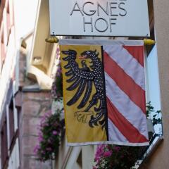 Отель Agneshof Nürnberg Германия, Нюрнберг - отзывы, цены и фото номеров - забронировать отель Agneshof Nürnberg онлайн фото 7