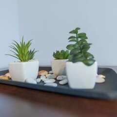 Отель FM Deluxe 1-BDR Apartment - Central Sofia Болгария, София - отзывы, цены и фото номеров - забронировать отель FM Deluxe 1-BDR Apartment - Central Sofia онлайн балкон