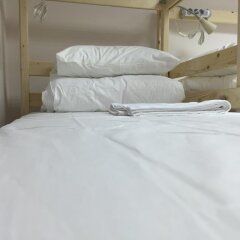 Гостиница Hostel Bolshoi в Москве отзывы, цены и фото номеров - забронировать гостиницу Hostel Bolshoi онлайн Москва с домашними животными