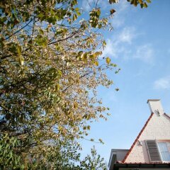 Отель B&B The Nest Бельгия, Брюссель - отзывы, цены и фото номеров - забронировать отель B&B The Nest онлайн