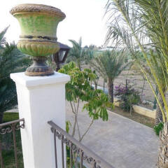 Finca Santa Barbara In Elche Spain From 124 Photos Reviews Zenhotels Com