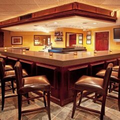 Отель Holiday Inn Niagara Falls Scenic Downtown США, Ниагара-Фолс - отзывы, цены и фото номеров - забронировать отель Holiday Inn Niagara Falls Scenic Downtown онлайн гостиничный бар