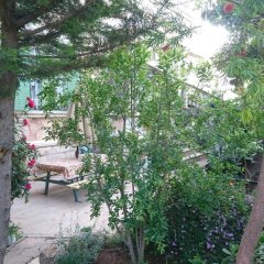 Allenby 2 Bed and Breakfast Израиль, Иерусалим - отзывы, цены и фото номеров - забронировать отель Allenby 2 Bed and Breakfast онлайн фото 12
