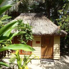 Отель Robinson Crusoe Island Фиджи, Вити-Леву - отзывы, цены и фото номеров - забронировать отель Robinson Crusoe Island онлайн фото 4