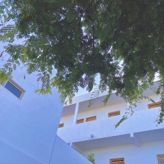 Отель Palo Verde Hotel Мексика, Кабо-Сан-Лукас - отзывы, цены и фото номеров - забронировать отель Palo Verde Hotel онлайн фото 2