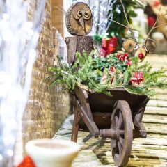 Отель B&B Porta Marina Реканати с домашними животными