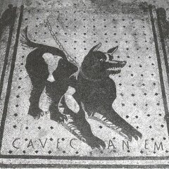 Отель b&b Cave Canem Pompei Италия, Помпеи - отзывы, цены и фото номеров - забронировать отель b&b Cave Canem Pompei онлайн спортивное сооружение