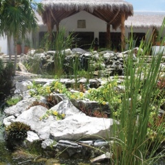 Отель Desire Riviera Maya Pearl Resort All Inclusive- Couples Only фото 10