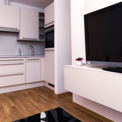 Отель My City Apartments - 5 Stars Apartment Австрия, Вена - отзывы, цены и фото номеров - забронировать отель My City Apartments - 5 Stars Apartment онлайн в номере