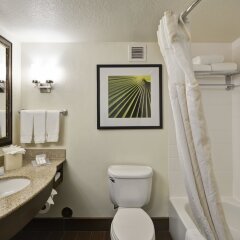 Отель Hilton Garden Inn Sarasota - Bradenton Airport ванная