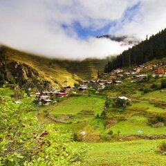 Uzungol Holiday Hotel 2 Турция, Узунгёль - отзывы, цены и фото номеров - забронировать отель Uzungol Holiday Hotel 2 онлайн фото 5