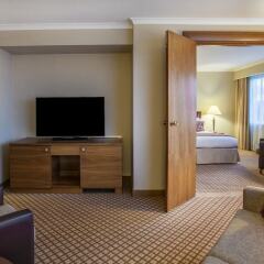 Отель Crowne Plaza Amsterdam Schiphol Нидерланды, Хофддорп - отзывы, цены и фото номеров - забронировать отель Crowne Plaza Amsterdam Schiphol онлайн удобства в номере фото 2