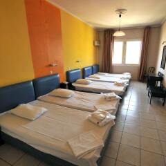 Athens Hawks Hostel комната для гостей фото 2