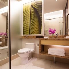 Отель Holiday Inn Beijing Shijingshan Parkview Пекин ванная