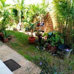 Apartment With 2 Bedrooms In Remire Montjoly With Enclosed Garden And Wifi in Cayenne, French Guiana from 163$, photos, reviews - zenhotels.com photo 9