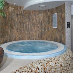 Wellton Riga Hotel & SPA бассейн
