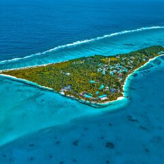 Fiyavalhu Resort Maldives in Mandhoo, Maldives from 261$, photos, reviews - zenhotels.com beach photo 2